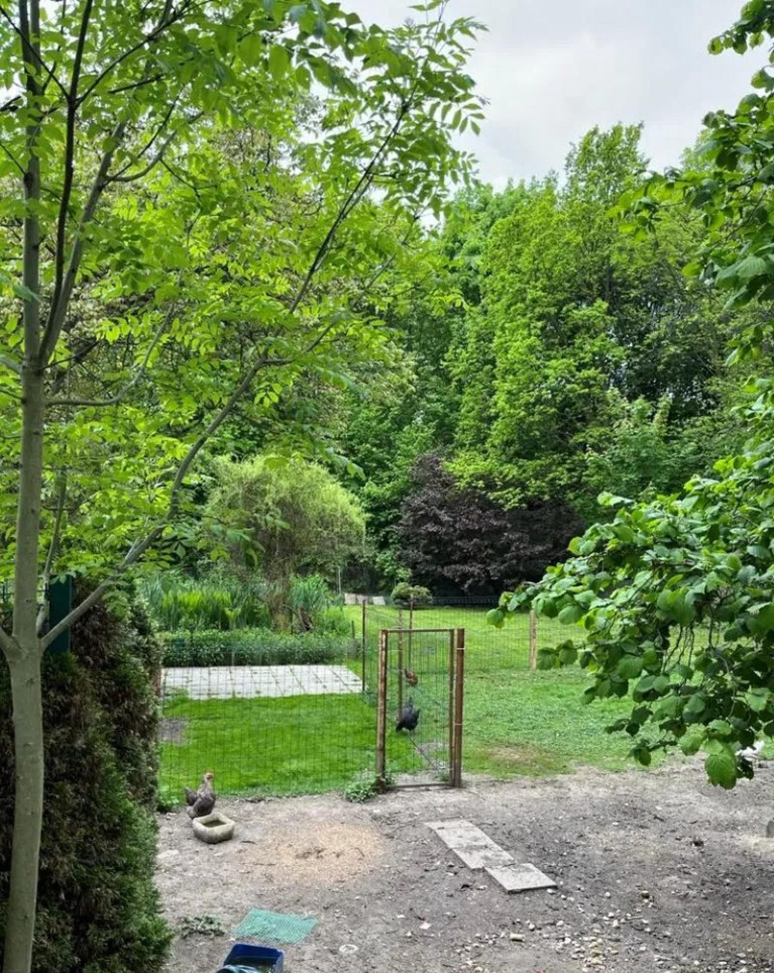 Działka Jastrzębie-Zdrój, 770m2
